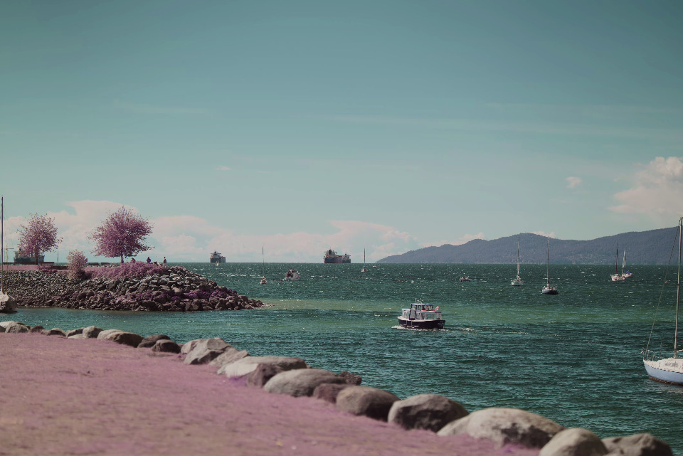 A coastal scene featuring boats, trees, and a serene ocean under a partly cloudy sky. The image has a slightly surreal color palette.