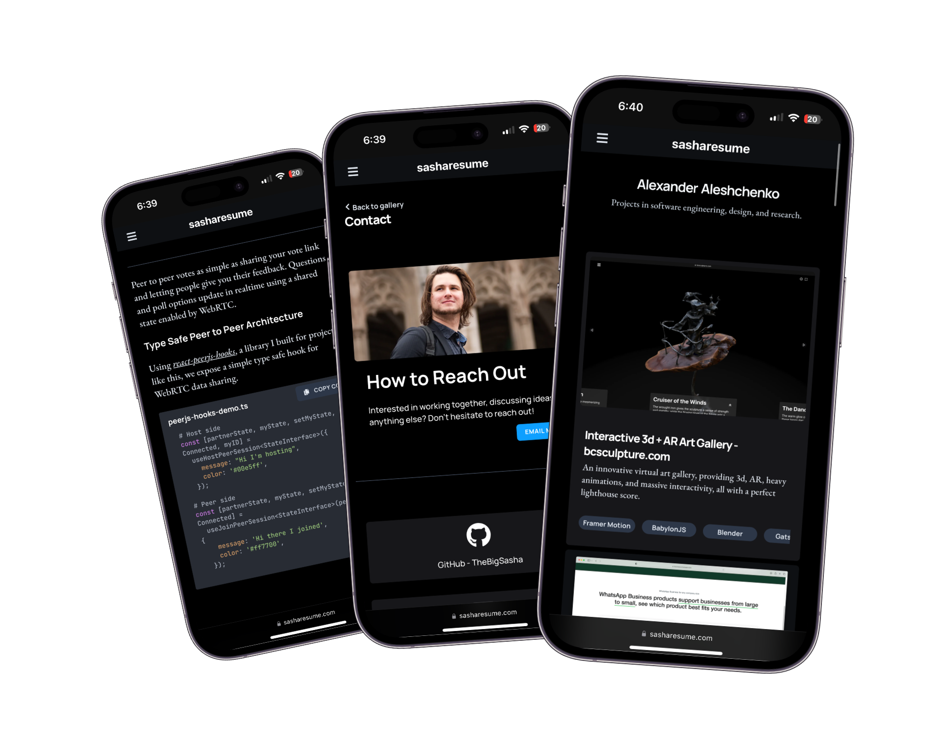 Cover image from sasharesume.com - Portfolio Website